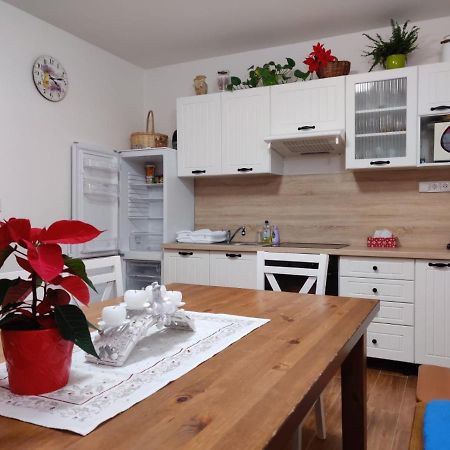 Apartman Pod Bozim Darem Jáchymov Zewnętrze zdjęcie