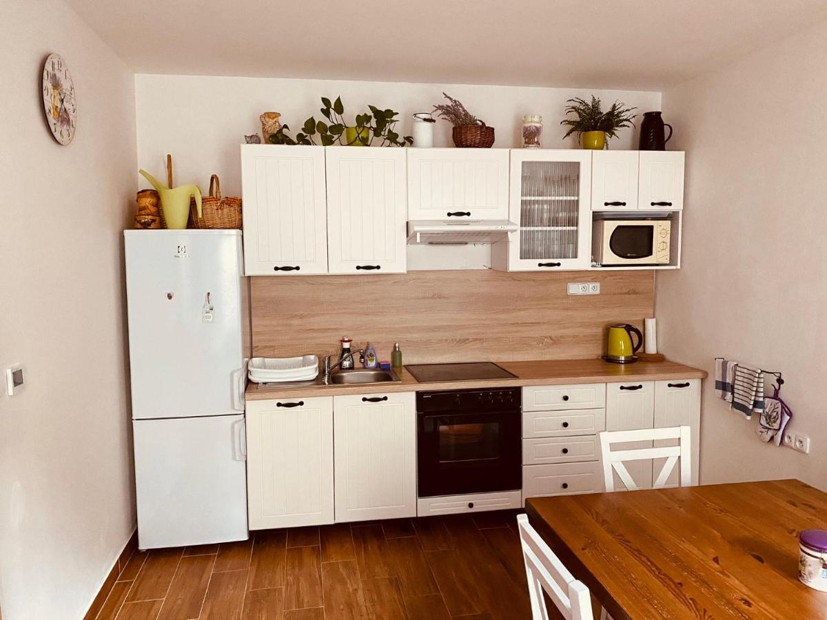 Apartman Pod Bozim Darem Jáchymov Zewnętrze zdjęcie