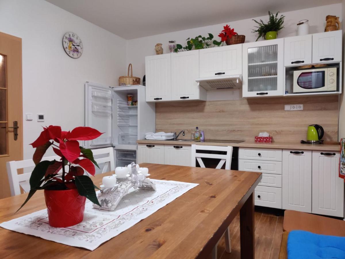 Apartman Pod Bozim Darem Jáchymov Zewnętrze zdjęcie